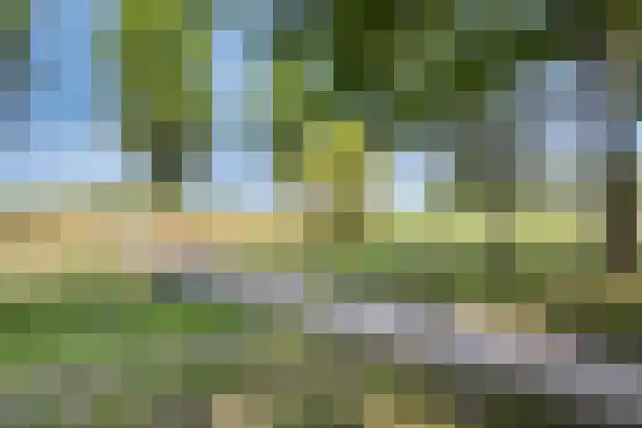 Rozenlaan 45 De Kwakel thumbnail 26