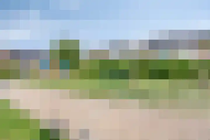 Rozenlaan 45 De Kwakel thumbnail 27
