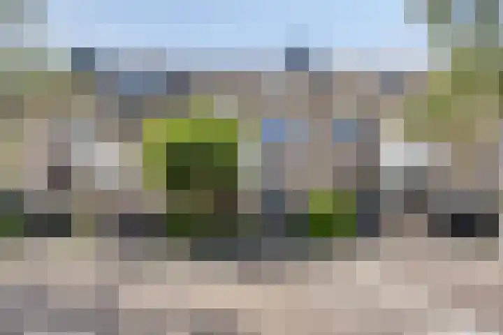 Rozenlaan 45 De Kwakel thumbnail 32