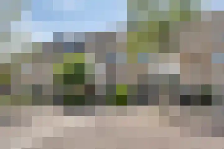Rozenlaan 45 De Kwakel thumbnail 4