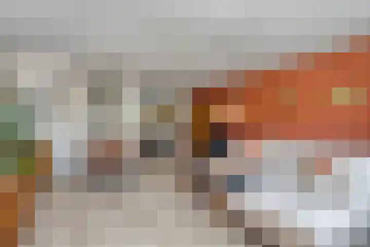Rozenlaan 45 De Kwakel thumbnail 5