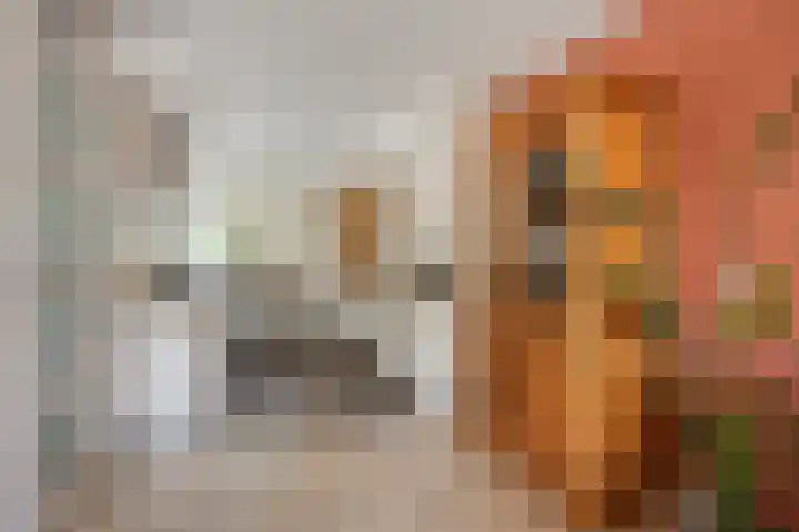 Rozenlaan 45 De Kwakel thumbnail 7
