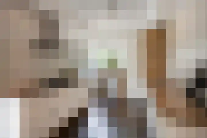 Rozenlaan 45 De Kwakel thumbnail 8
