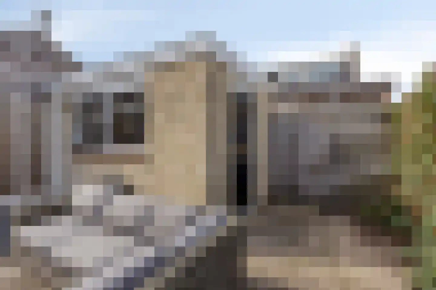 Rozenlaan 45 Heerhugowaard thumbnail 46