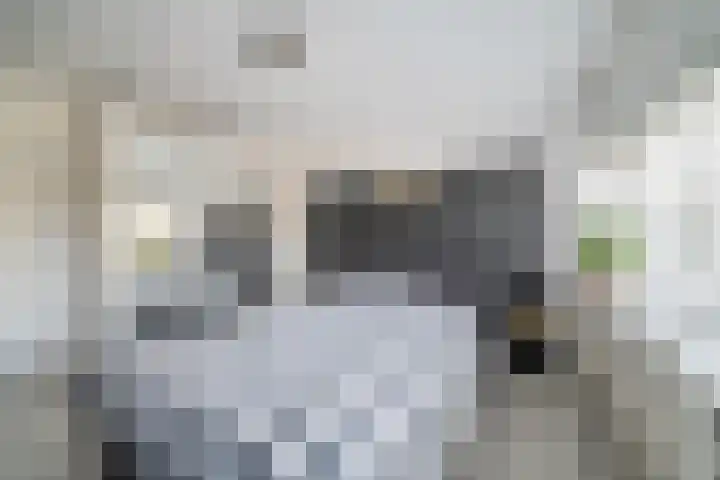 Rozenlaan 5 Heerhugowaard thumbnail 14