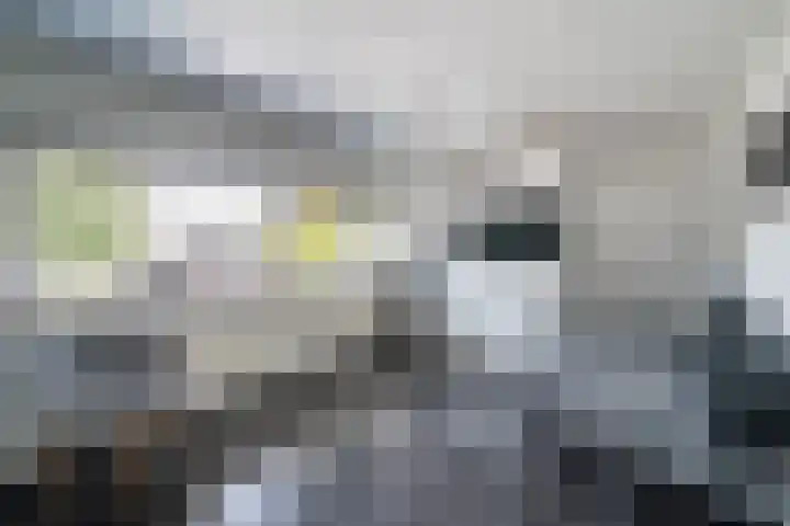 Rozenlaan 5 Heerhugowaard thumbnail 15