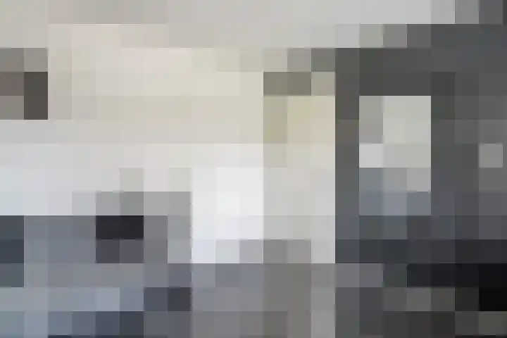 Rozenlaan 5 Heerhugowaard thumbnail 16