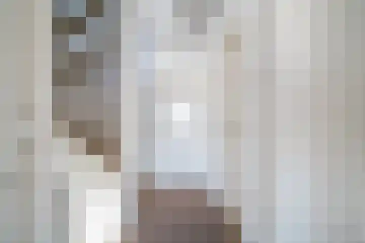 Rozenlaan 5 Heerhugowaard thumbnail 21