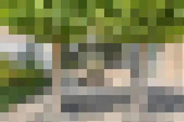 Rozenlaan 5 Heerhugowaard thumbnail 30