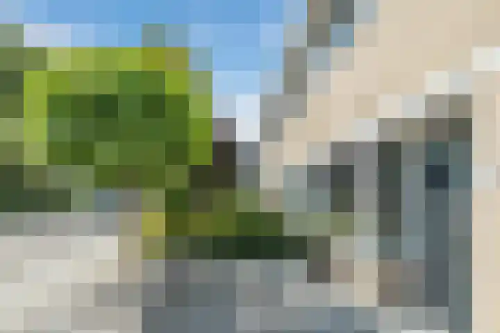 Rozenlaan 5 Heerhugowaard thumbnail 31