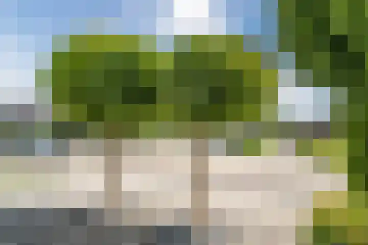 Rozenlaan 5 Heerhugowaard thumbnail 33
