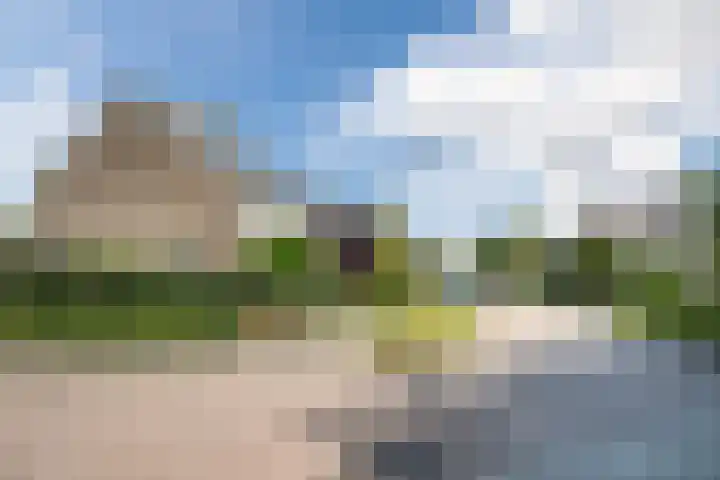 Rozenlaan 5 Heerhugowaard thumbnail 35
