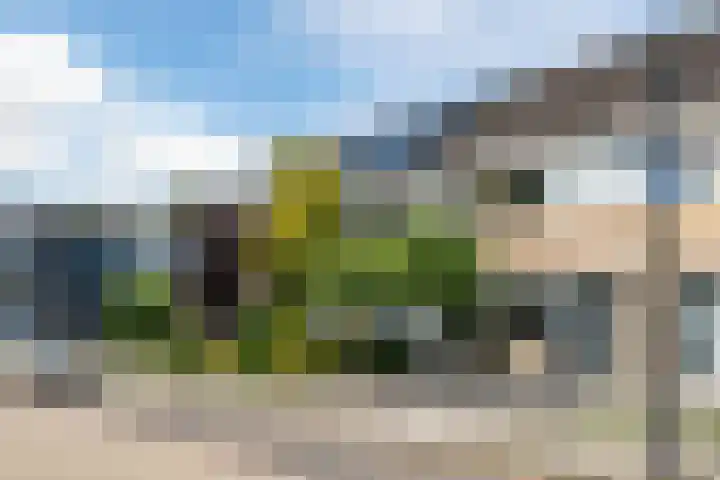 Rozenlaan 5 Heerhugowaard thumbnail 36