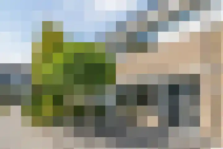 Rozenlaan 5 Heerhugowaard thumbnail 37