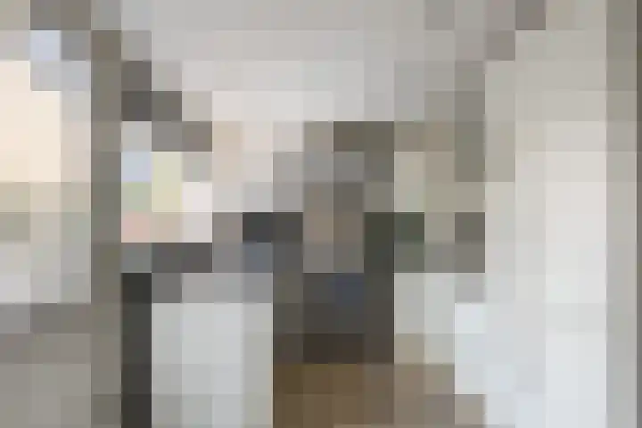 Rozenlaan 5 Heerhugowaard thumbnail 6