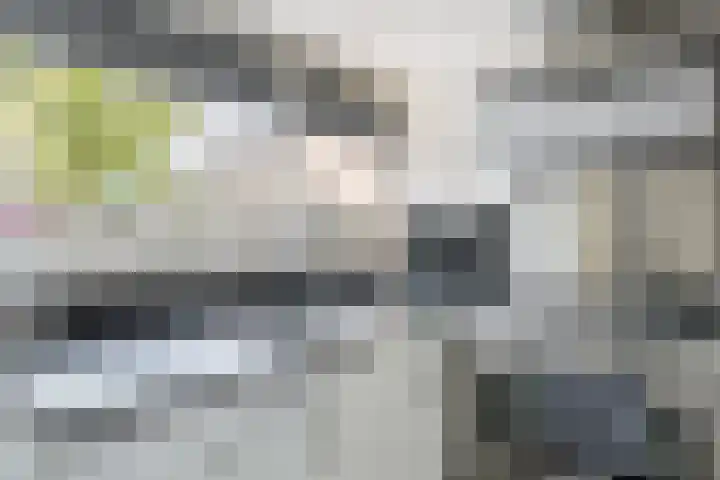 Rozenlaan 5 Heerhugowaard thumbnail 7