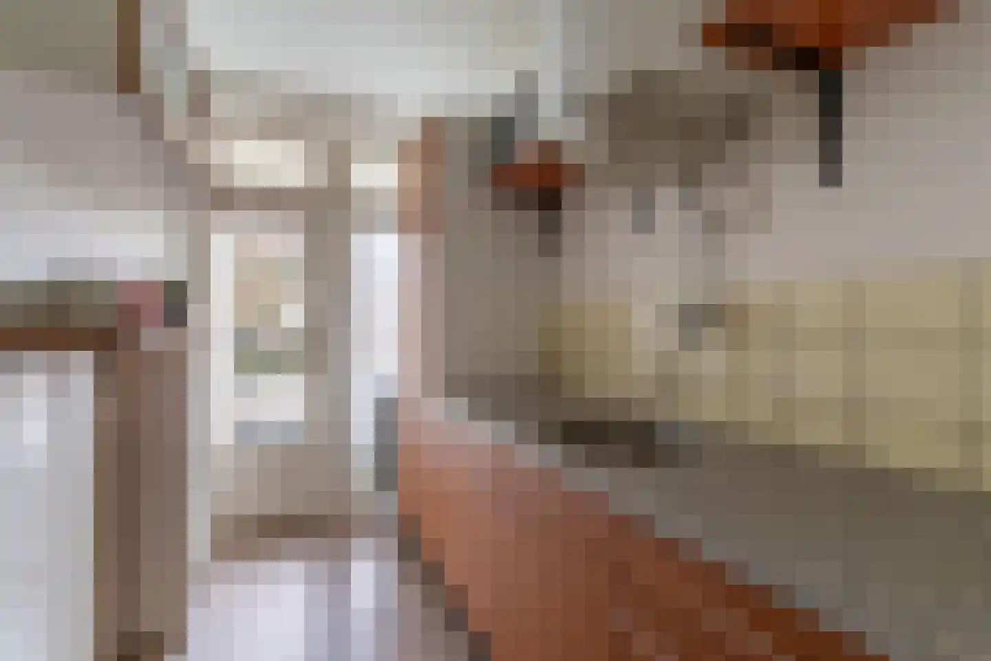 Rozenlaan 5 Rhenen thumbnail 10