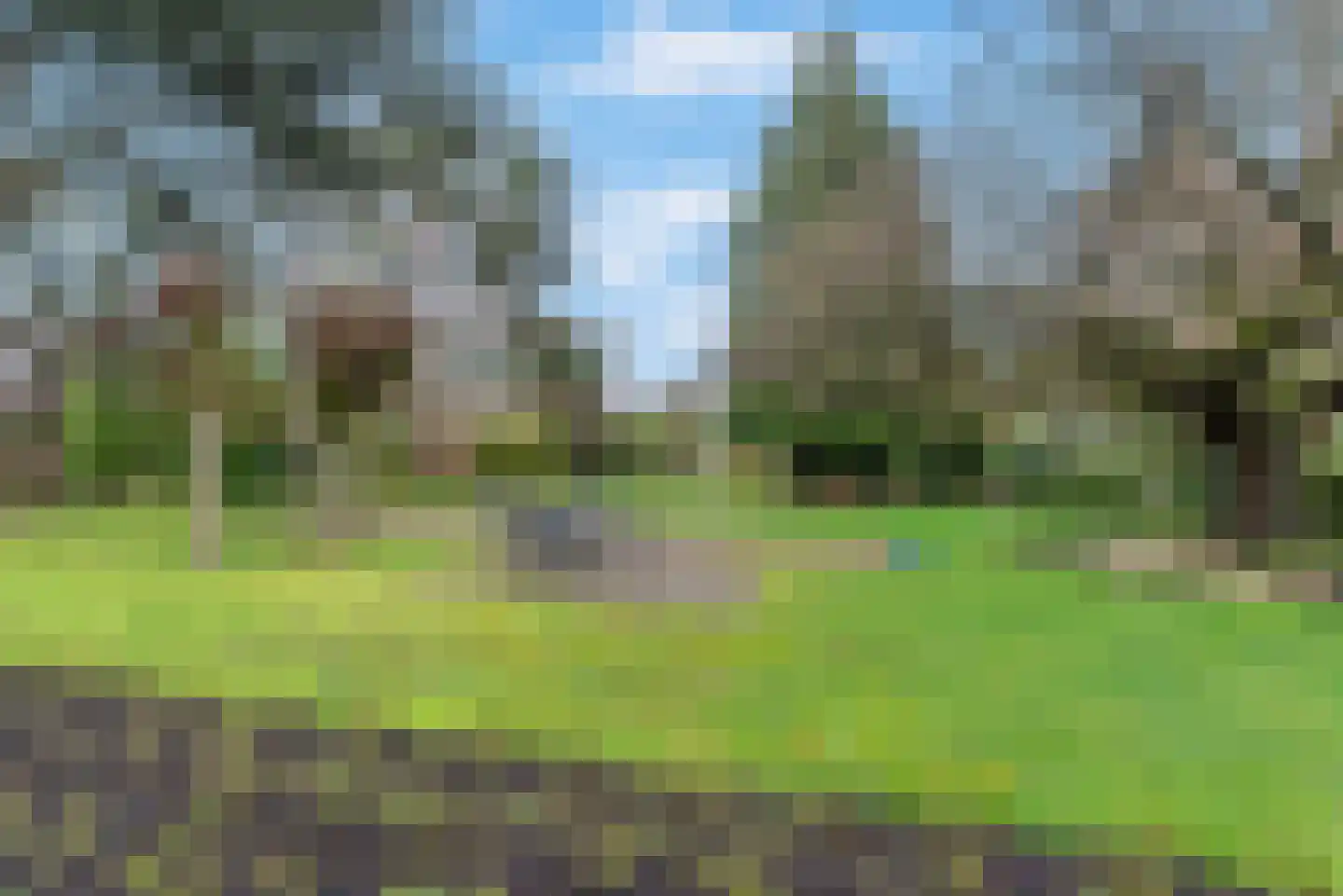 Rozenlaan 5 Rhenen thumbnail 24