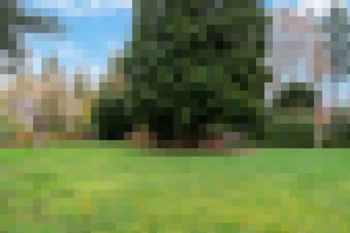 Rozenlaan 5 Rhenen thumbnail 26