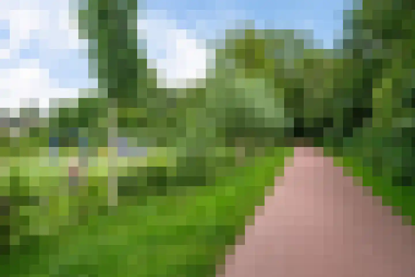 Rozenlaan 52 Schagen thumbnail 53