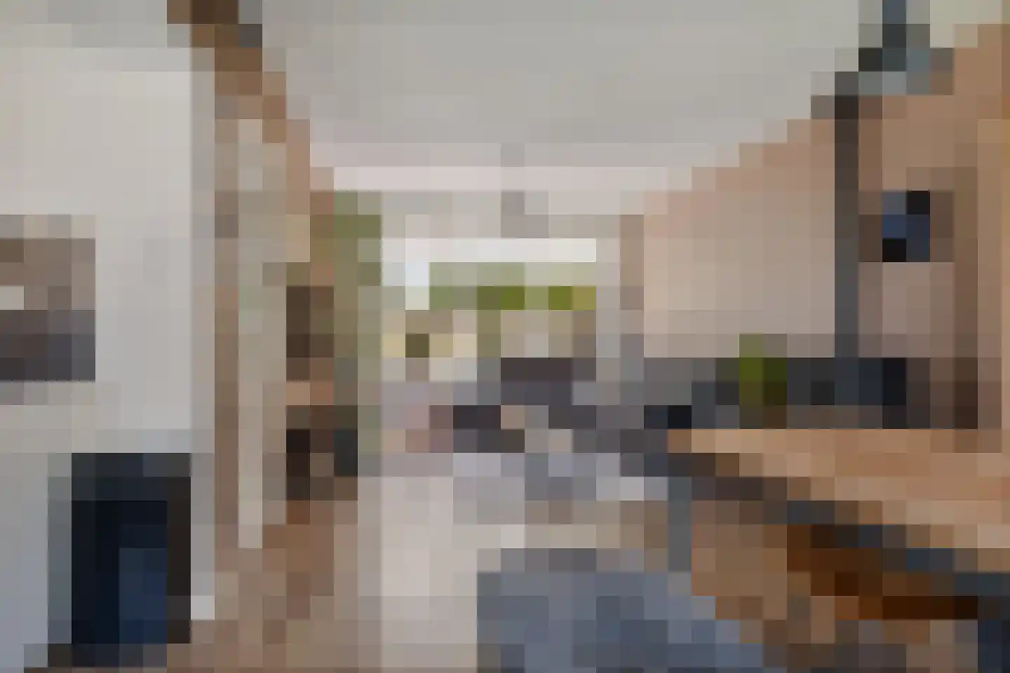 Rozenlaan 52 Schagen thumbnail 8