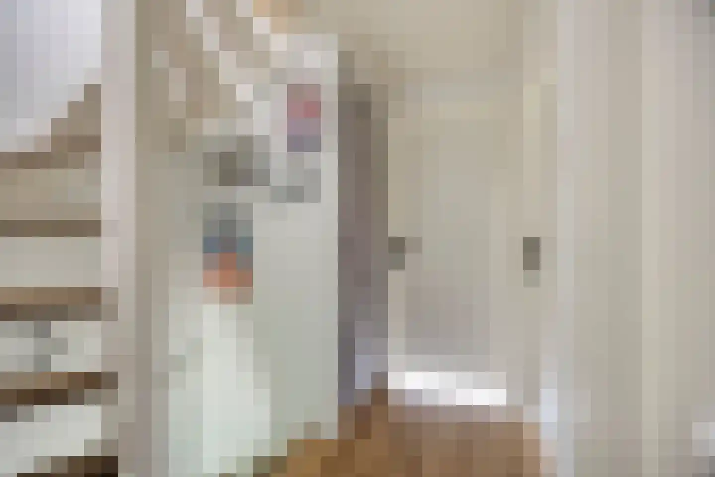 Rozenlaan 53 Heerhugowaard thumbnail 29