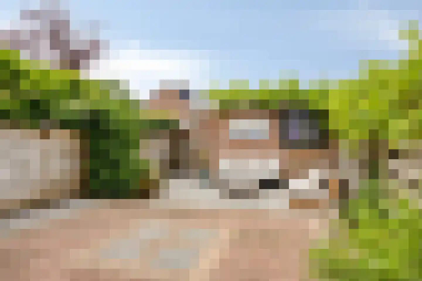 Rozenlaan 53 Heerhugowaard thumbnail 48