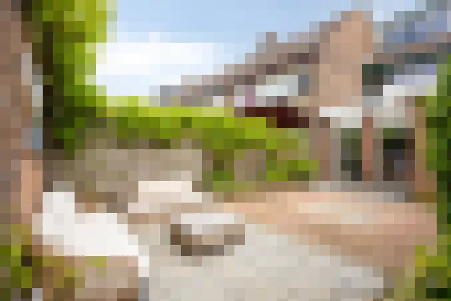 Rozenlaan 53 Heerhugowaard thumbnail 49