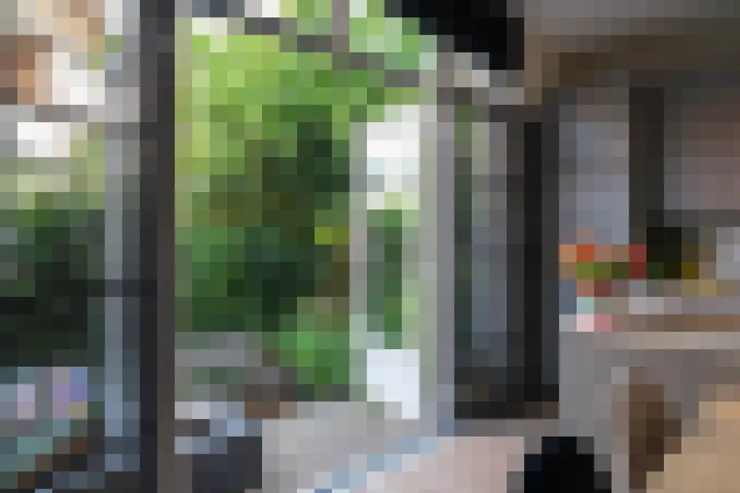 Rozenlaan 54 A Rotterdam thumbnail 11