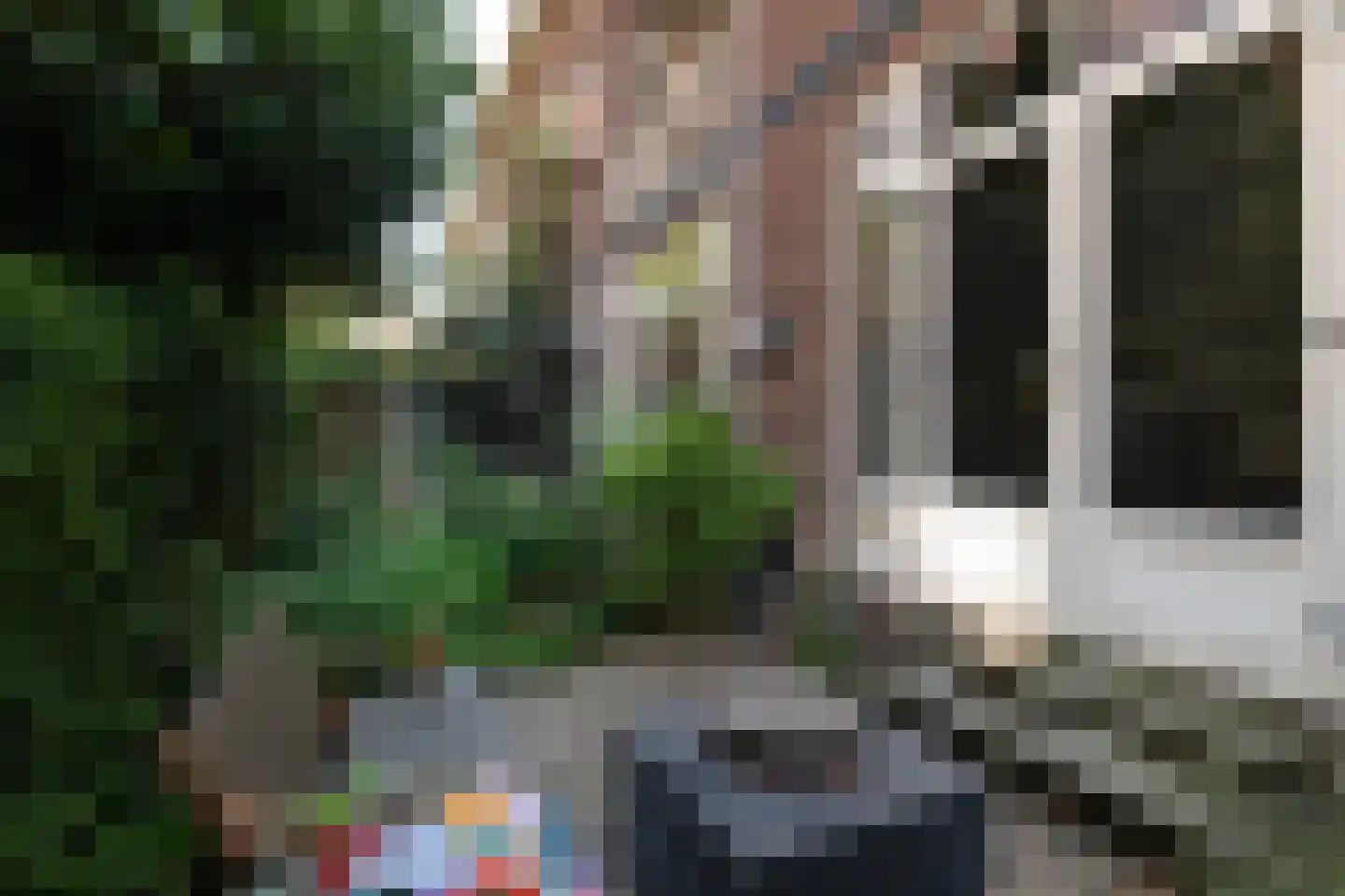 Rozenlaan 54 A Rotterdam thumbnail 12