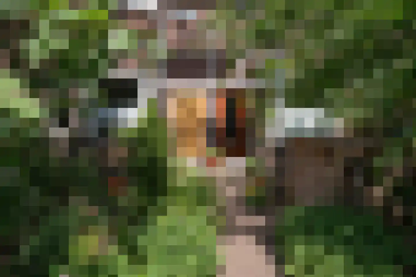 Rozenlaan 54 A Rotterdam thumbnail 27