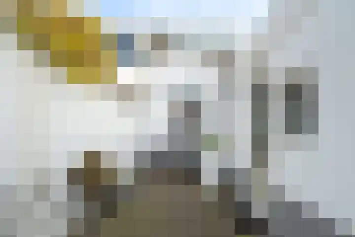 Rozenlaan 54 Breda thumbnail 33