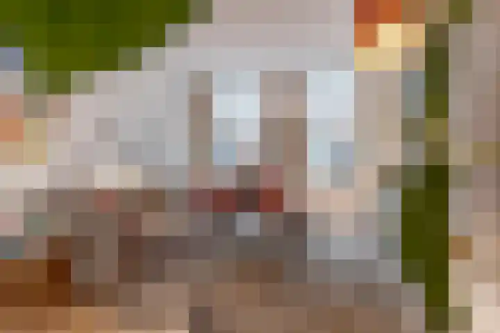 Rozenlaan 54 Breda thumbnail 6
