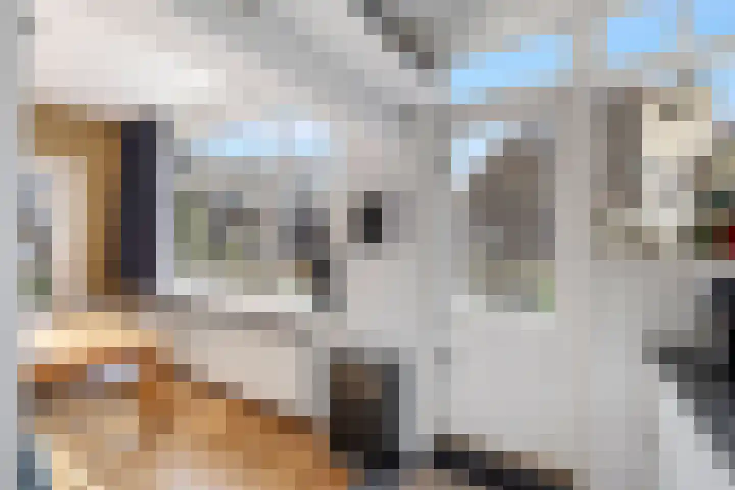 Rozenlaan 57 B Rotterdam thumbnail 12