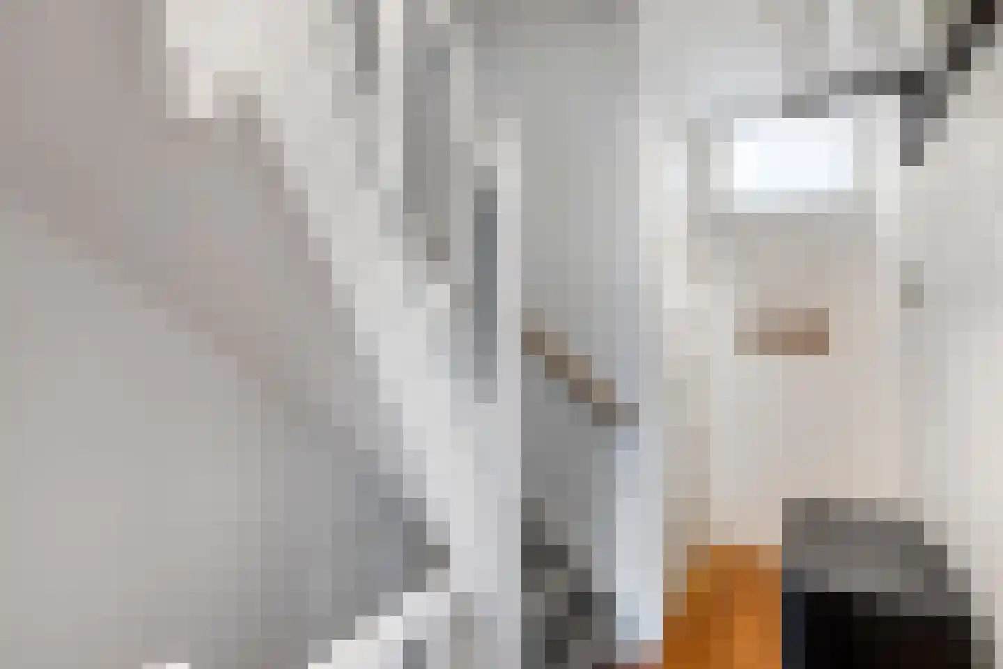 Rozenlaan 57 B Rotterdam thumbnail 15