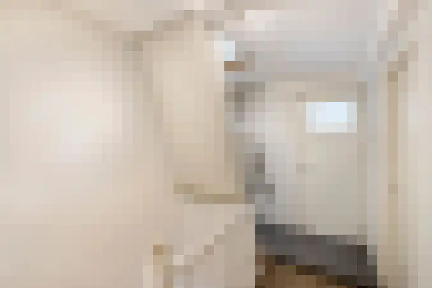 Rozenlaan 57 B Rotterdam thumbnail 29