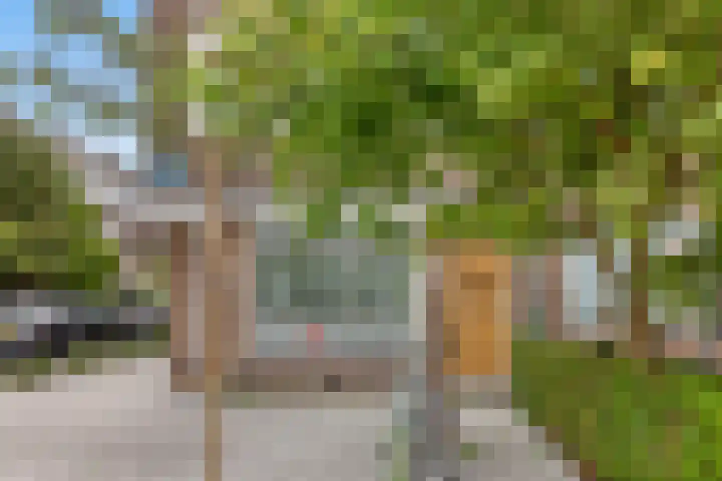 Rozenlaan 57 B Rotterdam thumbnail 31