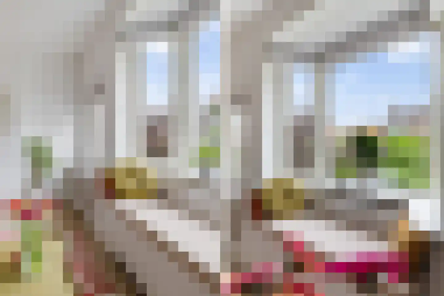 Rozenlaan 58 B Rotterdam thumbnail 12