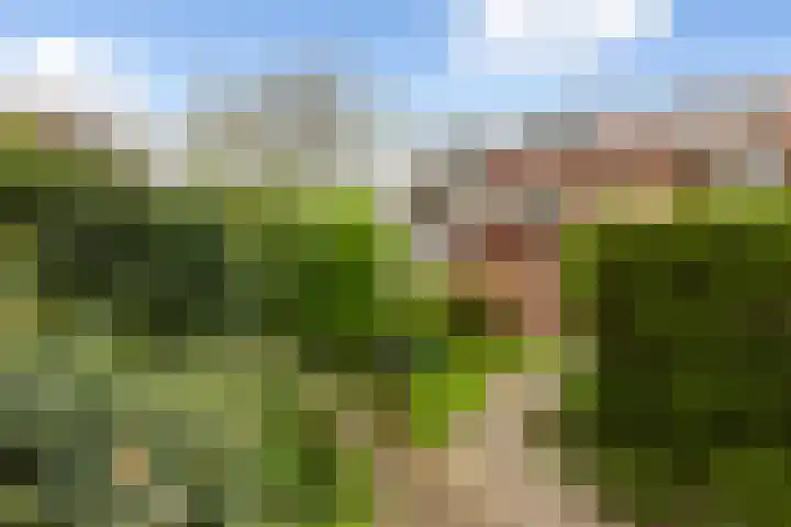 Rozenlaan 58 Vlaardingen thumbnail 18