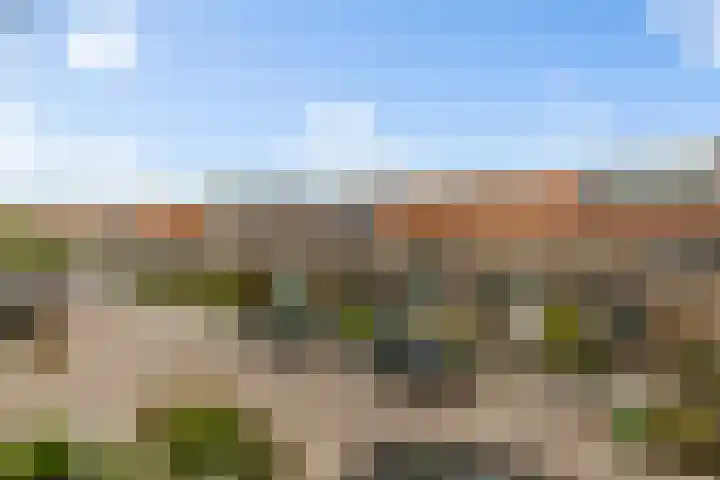 Rozenlaan 58 Vlaardingen thumbnail 35
