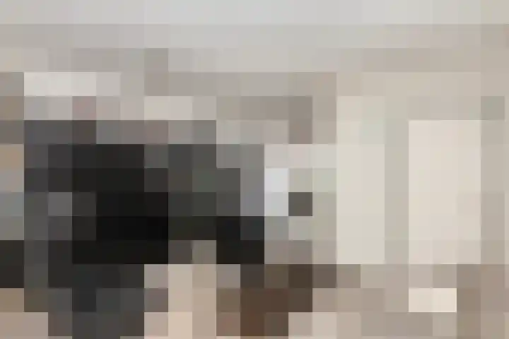Rozenlaan 58 Vlaardingen thumbnail 8