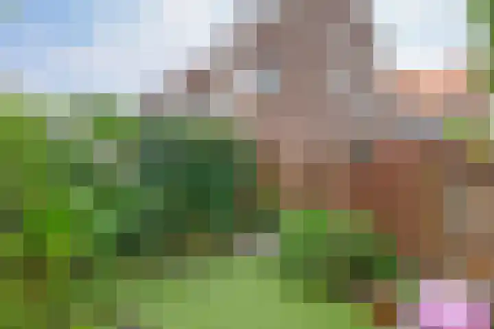 Rozenlaan 63 Rotterdam thumbnail 13