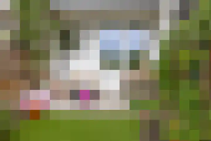 Rozenlaan 63 Rotterdam thumbnail 15