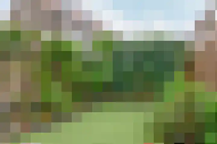 Rozenlaan 63 Rotterdam thumbnail 16