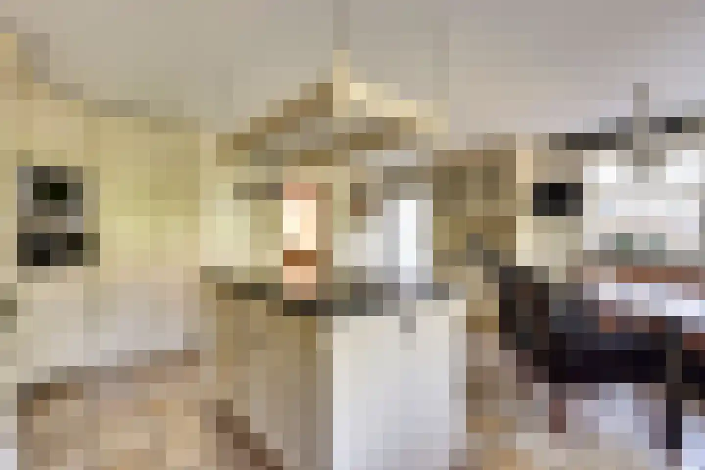 Rozenlaan 7 Valkenburg thumbnail 14