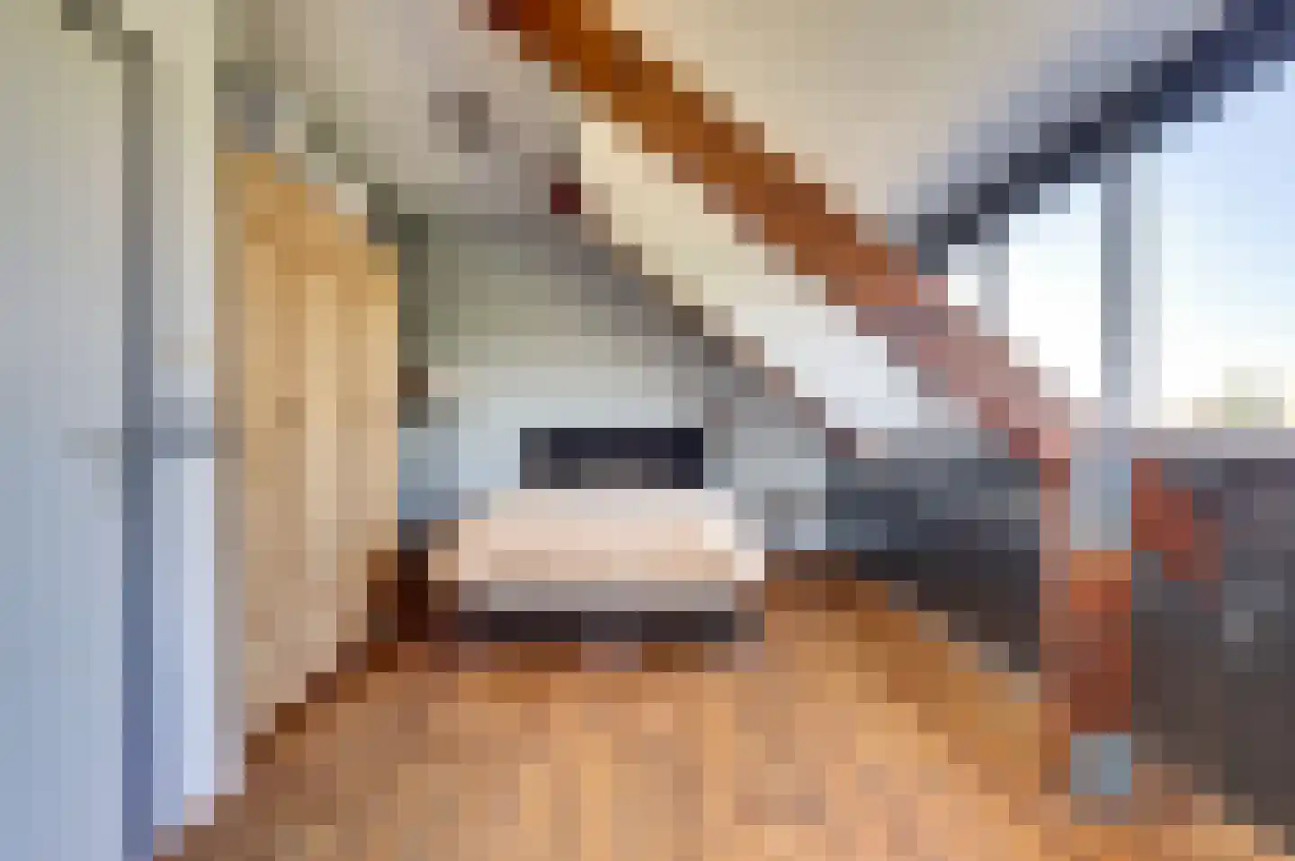 Rozenlaan 7 Valkenburg thumbnail 36