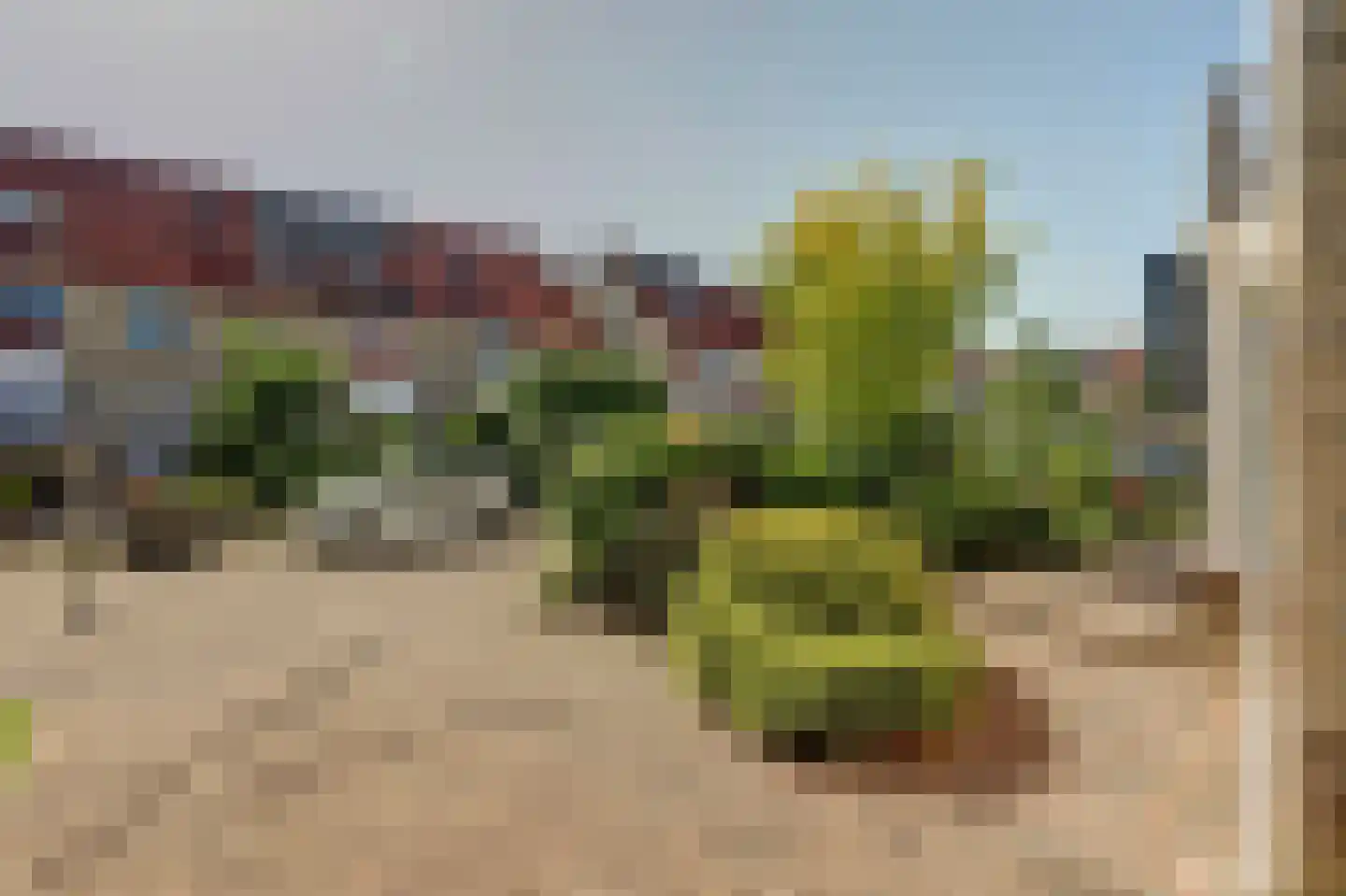 Rozenlaan 7 Valkenburg thumbnail 45