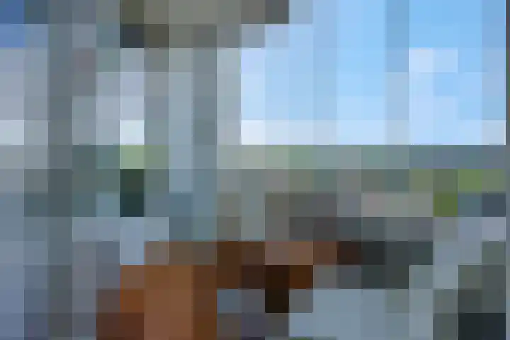 Rozenlaan 73 Rhenen thumbnail 13