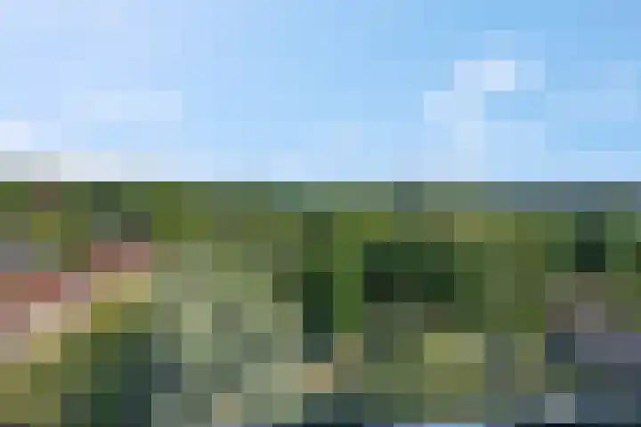 Rozenlaan 73 Rhenen thumbnail 15