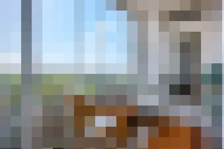 Rozenlaan 73 Rhenen thumbnail 4